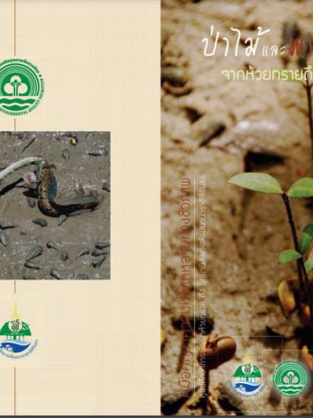 e-book ป่าไม้และพรรณพืชจากห้วยทรายถึงชายทะเล