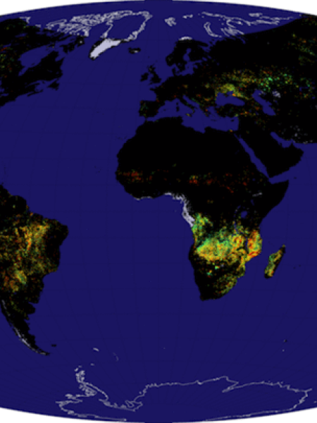 data MODIS Global Burned Area Product