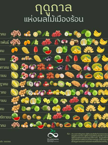 data รู้หรือไม่เมืองไทยมีผลไม้ทั้งปี (thai fruit season)