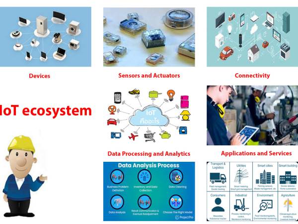 iot_002 Internet of Things (IoT) องค์ประกอบ ระบบนิเวศ (IoT ecosystem) 