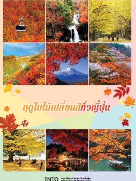 e-book JNTO ฤดูใบไม้เปลี่ยนสีทั่วญี่ปุ่น (PDF 4 หน้า)
