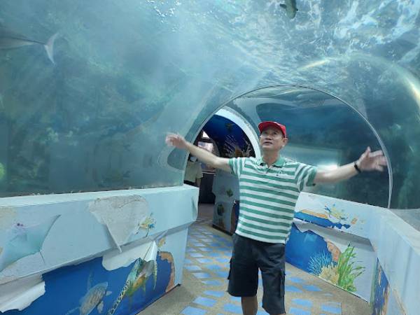 เที่ยวระยอง เมือง สถานแสดงพันธุ์สัตว์น้ำระยอง (Rayong Aquarium)