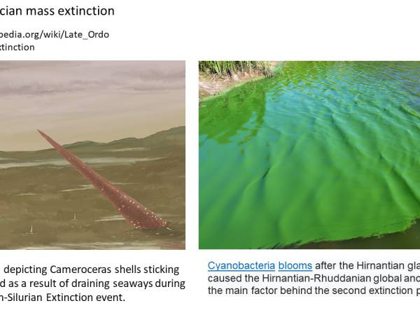 Waiyapot ep078 The End of Ordovician การสิ้นสุดยุคออร์โดวิเชียน