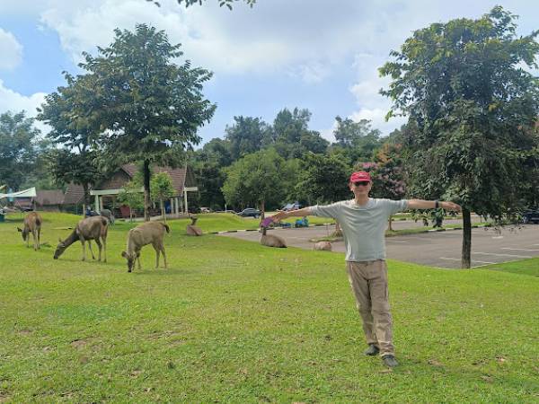เที่ยวนครนายก เมือง ลานกางเต็นท์ลำตะคอง อุทยานแห่งชาติเขาใหญ่