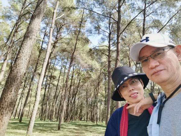 เที่ยวเชียงใหม่ แม่แตง สวนสนแม่แตง