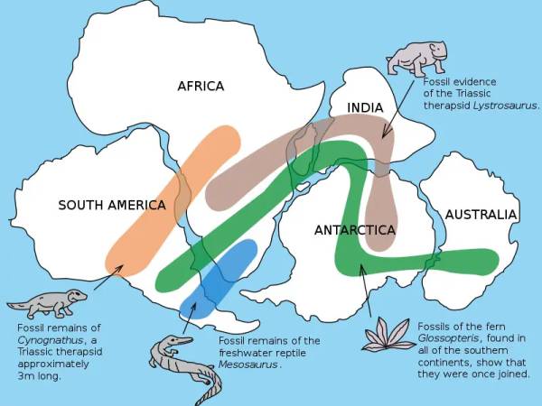 Geo105 ทฤษฎีทวีปเลื่อน (Continental Drift)