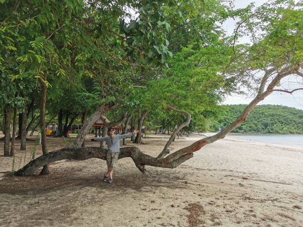 เที่ยวชลบุรี สัตหีบ หาดทรายแก้ว (Sai Kaeo Beach)