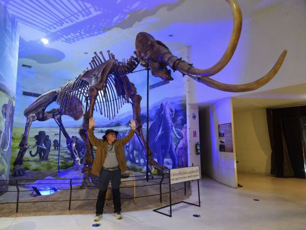 Waranon ไทย นครราชสีมา พิพิธภัณฑ์ไม้กลายเป็นหินช้างดึกดำบรรพ์และไดโนเสาร์