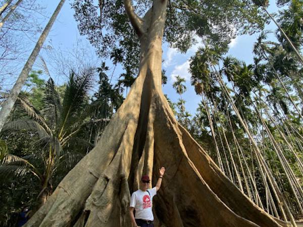 เที่ยวอุทัยธานี บ้านไร่ ต้นไม้ยักษ์