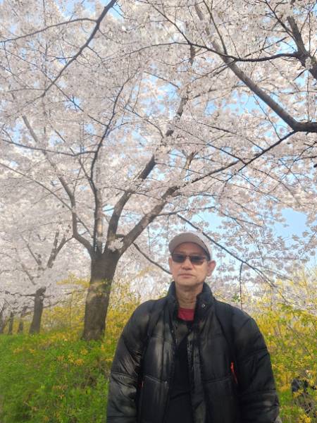 เพลง Sakura - Ikimono GakariS