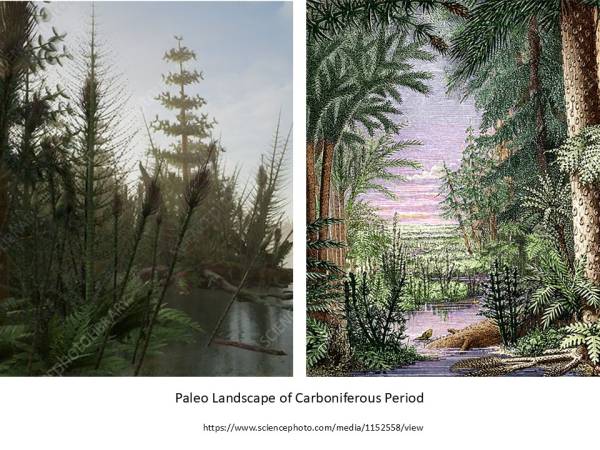 Waiyapot ep092 The Carboniferous Rocks of Thailand หินยุค คาร์บอนิเฟอรัส ของประเทศไทย