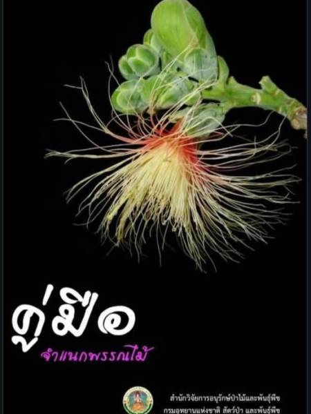 e-book ประวัติศาสตร์ชาติไทยฉบับปรับปรุง 2565