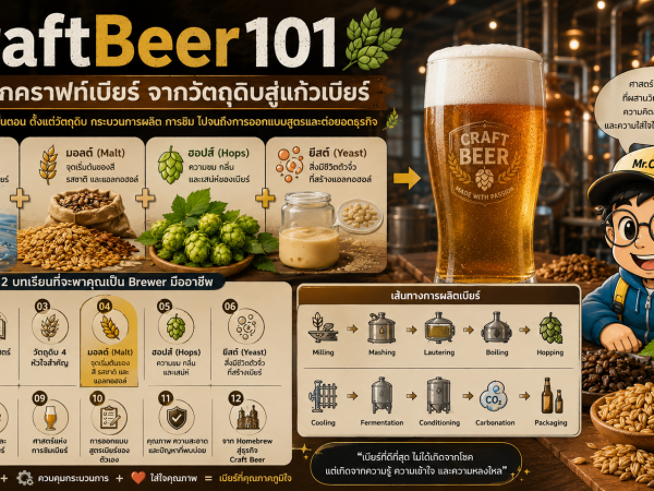 CraftBeer-05 ฮอปส์ (Hops) ความขม กลิ่น และเสน่ห์ของคราฟท์เบียร์